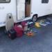 Bailey Pegasus GT65 Rimini 2013 touring caravan Image